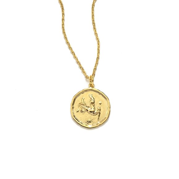 Zodiac Capricorn Sign Necklace - Picture 4 of 6
